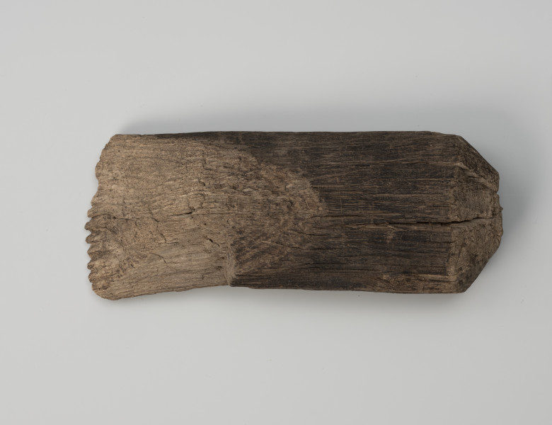 zgrzebło - Ujęcie z góry; Zgrzebło wykonane z fragmentu grubej gałęzi o pierwotnej średnicy około 6 cm. Jeden z jej końców - lewy ścięty pod kątem, na długości około 8 cm. Uzyskaną, łukowatą krawędź pracującą zaopatrzono w szereg ząbków. Zachowany fragmentarycznie, pierwotnie zapewne posiadał uchwyt-rączkę ułatwiającą pracę, po odłamaniu której pozostał negatyw o średnicy z prawej strony około 3.5 cm.