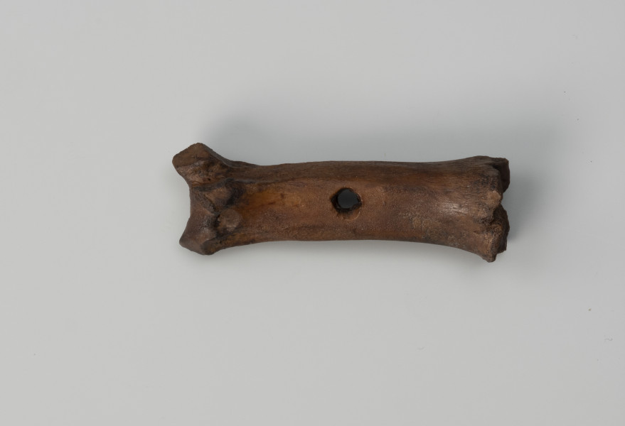 hetka - Ujęcie z góry; Hetka o zachowanej formie krótkiej kości śródstopia zwierzęcia z otworem przelotowym w środkowej części.