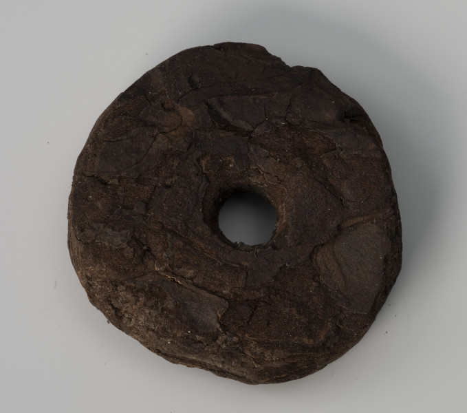 pływak - Ujęcie z dołu; Pływak wykonano z kawałka kory drzewa iglastego. Zabytek kształtem zbliżony jest do nieregularnego koła. W środku przedmiotu znajduje się otwór przelotowy. Na powierzchni znajdują się widoczne ślady obróbki wykonanej za pomocą ostrego noża.