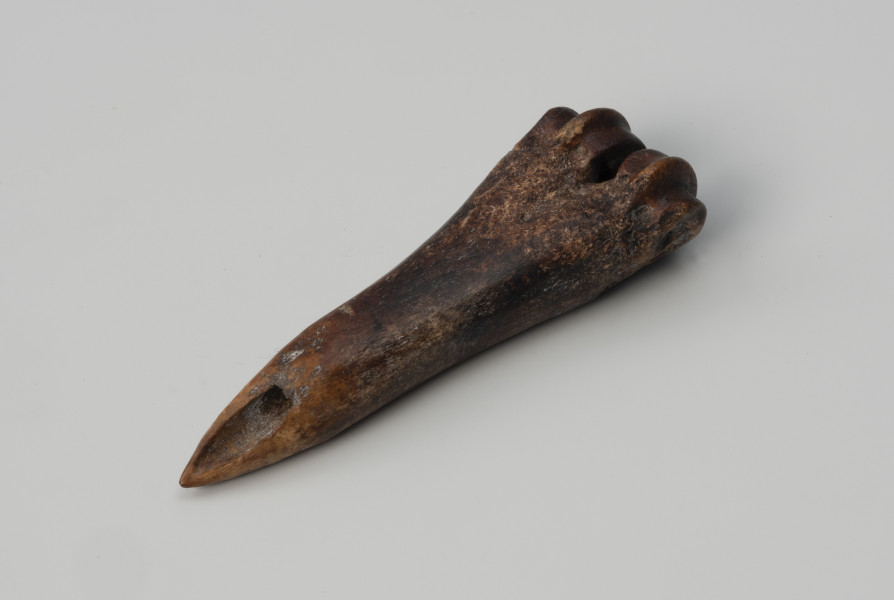 Szydło kościane - ujęcie z góry; Szydło z kości zwierzęcej, z zaostrzoną w szpic u dołu końcówką.