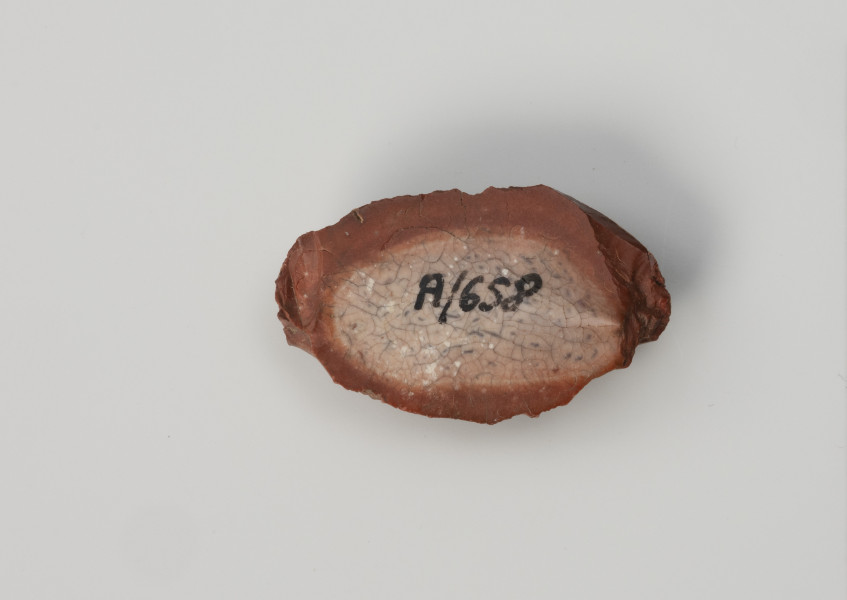 drapacz - Ujęcie z dołu; Niewielki drapacz wykonany z łuszczki (formy odłupkowej) krzemienia pomorskiego (jaskółczy chlebek) na zewnątrz jest czerwony, a w środku biały.