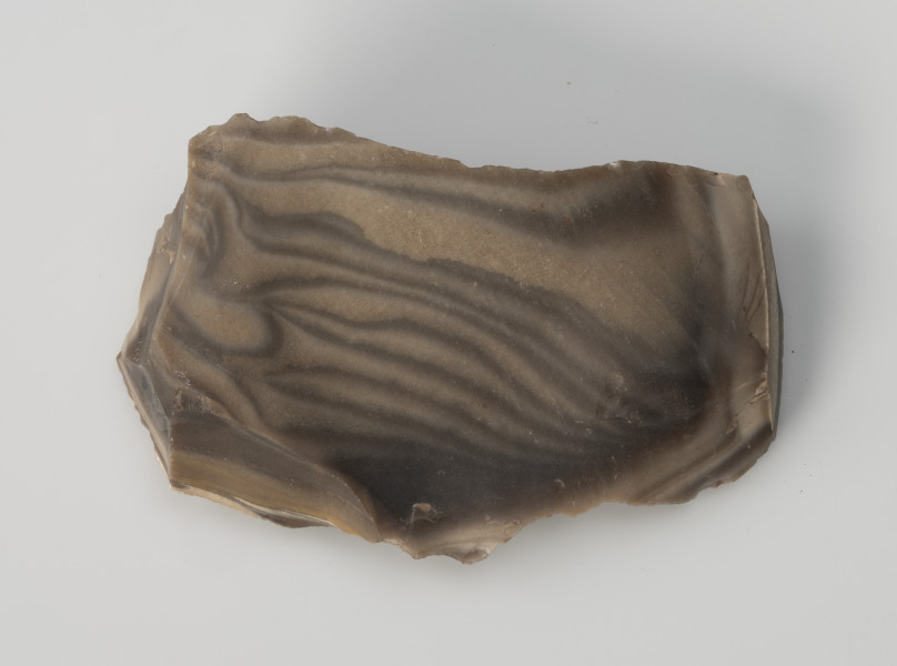 półwytwór narzędzia - Ujęcie z góry; Masywny odłupek krzemienia pasiastego, część większej bryły. Pęknięcie w części dystalnej sugeruje, że był on dużo większy.