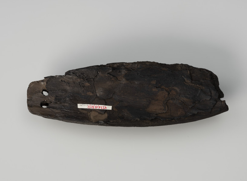 pływak do sieci - Ujęcie z dołu; Pływak wykonany z jednego, dość dużego kawałka kory, najpewniej sosnowej. Posiada formę wydłużoną i zaopatrzony jest pod dwa otwory do przeciągania liny na obu końcach. Prawy koniec został odłamany przez co otwory są słabo czytelne.