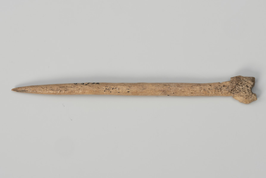 szpila kościana do spinania włosów lub szat - Ujęcie z dołu; Ozdobna szpila wykonana z kości zwierzęcej. Z jednej strony ma zaostrzoną końcówkę, z drugiej natomiast zakończona była płaskim zgrubieniem o nieregularnym kształcie (teraz ułamanym).