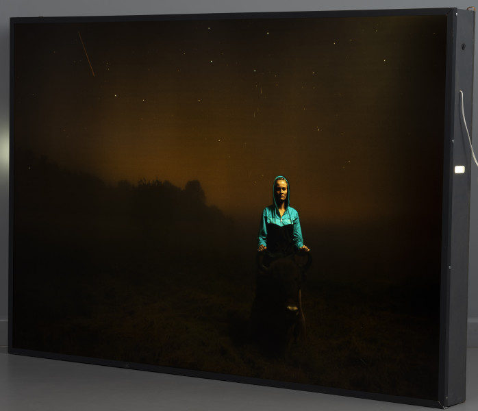 bez tytułu - ujęcie ze skosu z prawej; Lightbox w układzie poziomym z nocnym przedstawieniem łąki. Na pierwszym planie, na prawo od osi postać stojącej na wprost widza, młodej, zakapturzonej kobiety, przed nią głowa byka. Kobieta trzyma byka za rogi. Jest ubrana w turkusowo-czarną bluzę. W tle, po lewej stronie, ciemnieje ściana lasu, niebo bezchmurne, rozjaśnione punktowo światłem gwiazd. Skrzynia lightboxu wykonana z drewna pomalowanego na szaro, od frontu wzmocniona metalowym kątownikiem pomalowanym na kolor grafitowy. W bocznych krawędziach skrzyni wycięte otwory transportowe w kształcie wydłużonego prostokąta o zaokrąglonych narożnikach. W górnej części prawej bocznej krawędzi skrzyni okrągły otwór wyprowadzający kabel zasilający. Kabel i wtyczka białe.