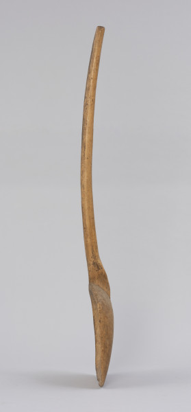 szufla do ziarna - Ujęcie z boku z lewej; Szufla do ziarna wykonana z jednego kawałka drewna o szerokiej i płaskiej części pracującej u dołu, której boki i górną krawędź pozostawiono grubsze. Krawędź ta przechodzi łagodnie w łukowato wygięty trzonek, zakończony prosto. Na całej powierzchni narzędzia występują ślady po drewnojadach.