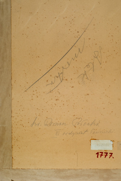 Mężczyzna o okazałych, podkręcanych wąsach, ukazany z twarzą zwróconą lekko w prawo, z lewą ręką wspartą na biodrze, sportretowany na tle architektury. Hrabia pozuje w historycznym kostiumie. 