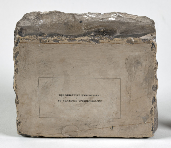 na kamieniu znajduje się napis „La contesseAlferd Potocka neeprincessa Czartoryska”