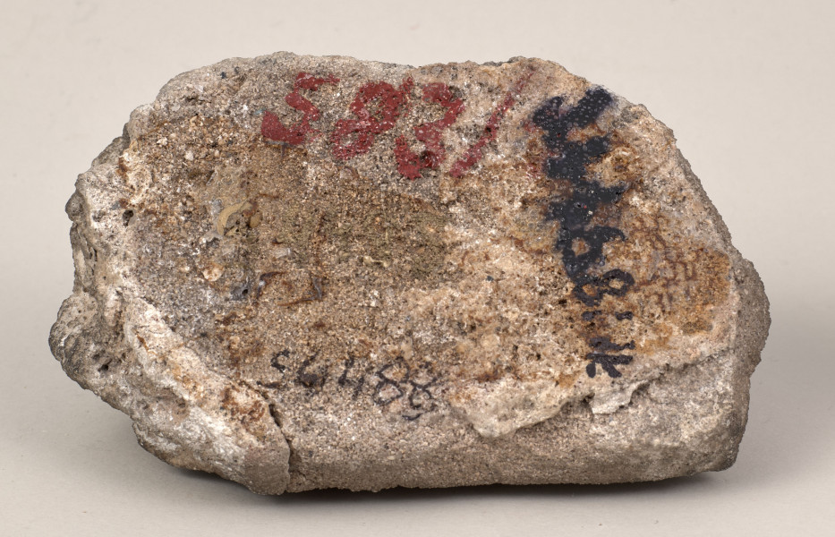 Przycisk w kształcie leżącego kamiennego nieforemnego prostopadłościanu o nieregularnych krawędziach, na górze ma zamontowany okrągły mosiężny z tego samego materiału wykonana jest podłużna ozdobna tabliczka ozdobiona motywem muszli  i mocowana do kamienia bez widocznych ćwieków z napisem „Zamek Krzemieniecki – 1871”. 