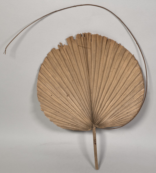 wachlarz z liścia palmowego i mocowane na zewnętrznej obręczy. Wachlarz posiada sztywną, okrągłą konstrukcję