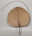 wachlarz z liścia palmowego i mocowane na zewnętrznej obręczy. Wachlarz posiada sztywną, okrągłą konstrukcję