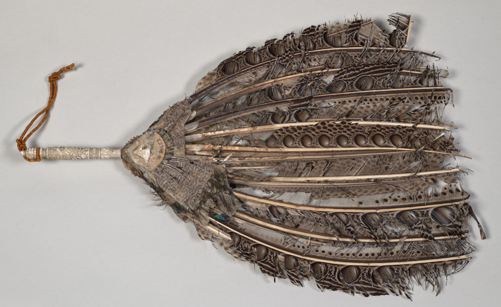 Wachlarz wykonany z pawich piór o sztywnej konstrukcji. Posiada rzeźbioną rączkę wykonaną z kości słoniowej