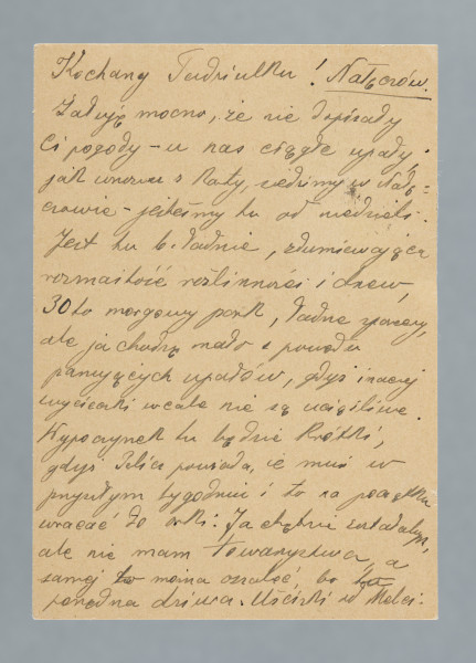List na karcie pocztowej napisany na pustej części karty i na części przy danych pocztowych. Na rewersie nadrukowany znaczek pocztowy, ślad prawdopodobnie po oderwanym znaczku, okrągła pieczątka z datą nadania i fragment drugiej (reszta oderwana wraz ze znaczkiem); nadruki - m.in. „TELEFON MIĘDZYMIASTOWY USUWA ODLEGŁOŚĆ!”.
Z treści: Kochany Tadziulku! | Żałuję mocno, że nie dopisały Ci pogody – u nas ciągłe upały. Jak wnosisz z karty, siedzimy w Nałęczowie – jesteśmy tu od niedzieli. Jest tu b. ładnie, zdumiewająca rozmaitość roślinności i drzew, 30to morgowy park, ładne spacery, ale ja chodzę mało z powodu panujących upałów, gdyż inaczej wycieczki wcale nie są uciążliwe. […]