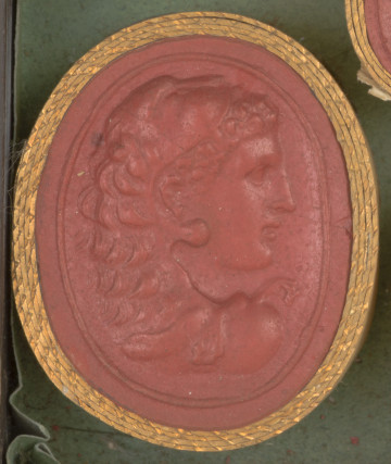 czerwona owalna gemma w grubym złotym obramowaniu; popiersie widoczne z prawego profilu, postać ma kręcone włosy i lwią skórę nałożoną na głowę