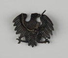 Orzełek 1 Dywizji Piechoty im. Generała Tadeusza Kościuszki - Ujęcie z tyłu; Metalowa odznaka wojskowa w formie orła. Od spodu, przylutowane po lewej stronie korpusu orła dwa druty służące do mocowania odznaki na czapkach.