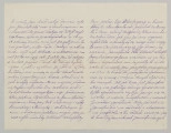 List na papierze w kratkę, liczy 2 kartki, 4 strony zapisane pismem czytelnym, pochylonym w prawą stronę, niebieskim atramentem, charakterystyczny dazek nad literą `d`, podkreślone wyrazy na ostatniej stronie listu.
