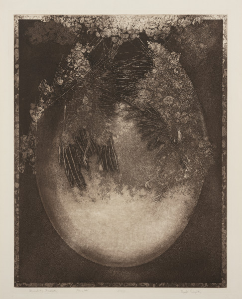 Początek - Ujęcie z przodu; Kompozycja w ciemnych brązach o zróżnicowanym walorze. Na cemnym tle, w centrum pracy znajduje się jasny owalny kształt, przypominający jajo ptasie. W dolnej części jasne, w górnej jakby pęknięte, rozpada się na patyczkowato-włóknistą strukturę przechodzącą w formy przypominające pióra i nóżki ptaka, wokół gęstwina nieregularnych, monochromatycznych plam.