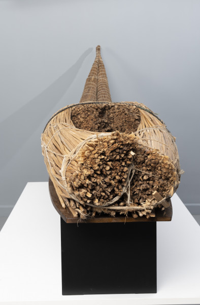 caballito de totora (łódź trzcinowa) - Ujęcie z prawej; Ponad czterometrowa łódź trzcinowa o naturalnym jasnobrązowym kolorze z wysoko zadartym ku górze długim, zwężającym się dziobem z tyłu oraz grubą, płasko ściętą rufą z przodu. Kształtem przypomina gruby cios słonia. Została zbudowana z dwóch wiązek trzciny mocno skrępowanych przez poprzeczne wiązania. W ten sposób nadano łodzi pożądany, żeglowny kształt. Wśród wiązek trzcinowych tworzących rufę uformowano trójkątne zagłębienie służące do przechowywania narzędzi rybackich (sieci, lin, pułapek) i złowionych zdobyczy.