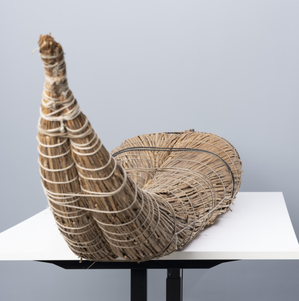 caballito de totora (łódź trzcinowa) - Ujęcie z lewej; Ponad czterometrowa łódź trzcinowa o naturalnym jasnobrązowym kolorze z wysoko zadartym ku górze długim, zwężającym się dziobem oraz grubą, płasko ściętą rufą. Kształtem przypomina gruby cios słonia. Została zbudowana z dwóch wiązek trzciny mocno skrępowanych przez poprzeczne wiązania. W ten sposób nadano łodzi pożądany, żeglowny kształt.