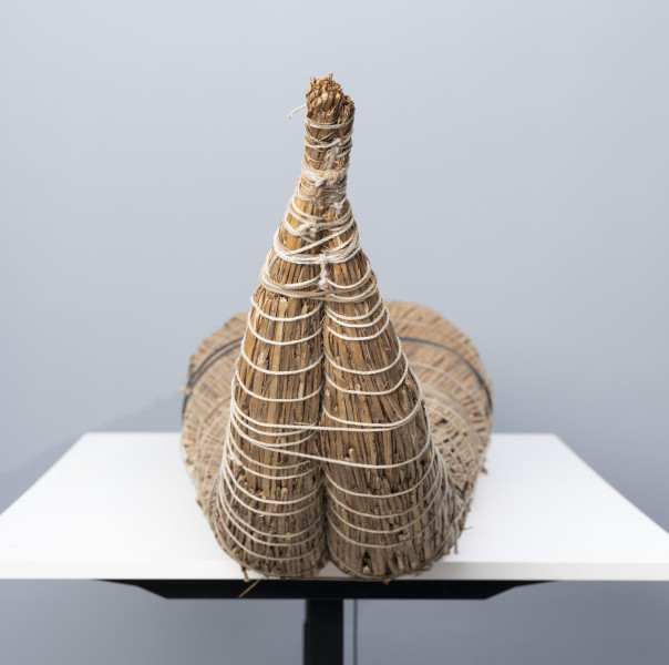 caballito de totora (łódź trzcinowa) - Ujęcie z lewej; Ponad czterometrowa łódź trzcinowa o naturalnym jasnobrązowym kolorze z wysoko zadartym ku górze długim, zwężającym się dziobem oraz grubą rufą. Kształtem przypomina gruby cios słonia. Została zbudowana z dwóch wiązek trzciny mocno skrępowanych przez poprzeczne wiązania. W ten sposób nadano łodzi pożądany, żeglowny kształt.