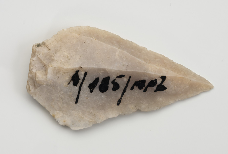 półwytwór liściaka - Ujęcie z dołu; Krótki wiór w kształcie wydłużonego trójkąta, odbity miękkim tłukiem (prawdopodobnie z poroża) od większej bryły. Jego cechą charakterystyczną jest układ negatywów na stronie wierzchniej wskazujący, że zasadniczy kształt został uformowany jeszcze przed odbiciem. Jest to tzw. debitaż predefiniowany. Brakuje retuszu, który formowałby krótki trzonek. Ze względu na jego rozmiary prawdopodobnie miał służyć jako grot włóczni.