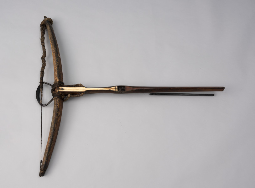 kusza - Ujęcie z tyłu; Kusza średniowieczna z odgiętym łęczyskiem, drewnianym łożem z kościaną nakładką i prostą konstrukcją dźwigni spustowej. Łoże jest proste, zwęża się ku końcowi kolby. Od góry na łożu zamocowana jest kościana płytka z wgłębieniem na prowadnicę bełta przytwierdzona w najszerszej części gwoździem. Zwęża się ku otworowi na orzech, a przed nim znowu się rozszerza. Orzecha brak, jednak zachował się spust o bardzo prostej konstrukcji, składający się ze sprężyny do zaczepu i zwalniania orzecha. Łuczysko jest mocowane do frontu łoża wspomnianym oplotem. Jest wygięte na zewnątrz i pokryte korą drzewa brzozowego. Zachowana cięciwa jest urwana składa się ze splotu wielu cienkich nici. Pośrodku łuku przywiązane jest rzemieniem żelazne strzemię.