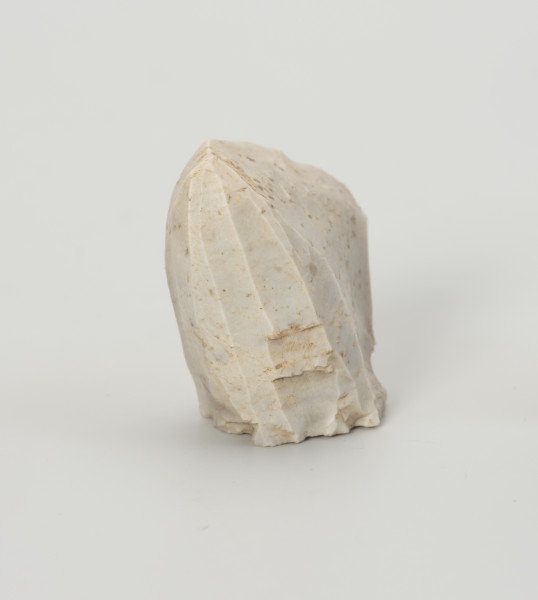 rdzeń stożkowy - Ujęcie z tyłu; Rdzeń z bryły krzemienia kredowego bardzo wysokiej jakości w końcowym stadium eksploatacji o znacznym stopniu redukcji uniemożliwiającym jego utrzymanie. Forma zbliżona do stożka lub ostrosłupa o dookolnej odłupni. Widoczny na jednej ze stron duży negatyw wskazuje na naprawę rdzenia krótko przed zakończeniem eksploatacji. W masie widoczne są liczne długie egzoszkielety organizmów morskich, ułożone w podłużne linie. Zabytek w całości pokryty jest białą patyną wskazującą na długotrwałe zaleganie na powierzchni.