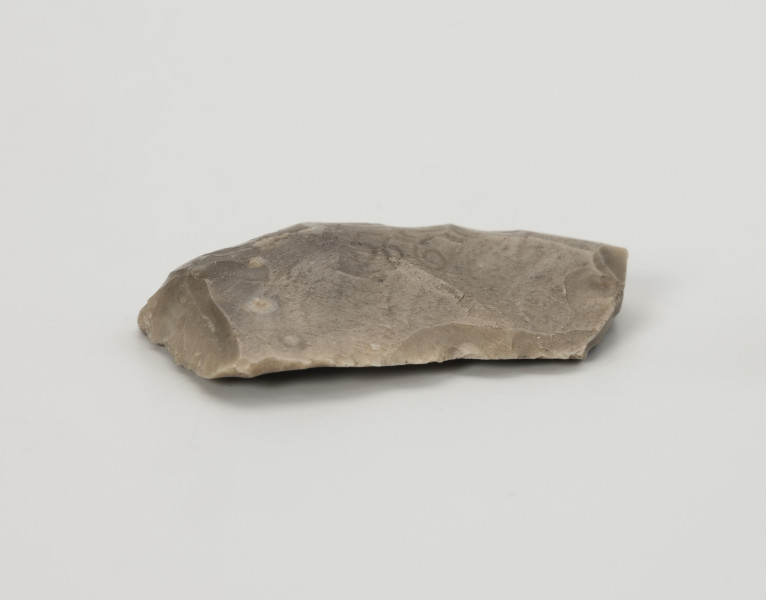 drapacz - Ujęcie z przodu; Drapacz wykonany został na fragmencie wióra z krzemienia kredowego bardzo dobrej jakości. Nie zachowała się część proksymalna. Na stronie wierzchniej widoczne są powierzchnie gładzone, co wskazuje, że wiór został odbity z rdzenia uformowanego na gładzonej siekierze neolitycznej.