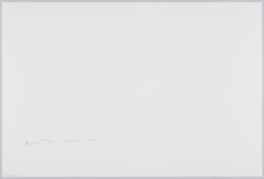 scena rodzajowa - Poziomy, barwny kadr fotograficzny przedstawiający popiersiowy portret panny młodej w centralnej części kadru. Kobieta ubrana jest dekorowaną aplikacjami białą suknię z długimi rękawami i pod szyję oraz bardzo dekoracyjny biały czepiec dekorowany koronką i wyszywany dżetami. Kobieta stoi wśród grupy innych, ubranych w ciemne stroje kobiet, których sylwetki są częściowo nie ostre, szczególnie te na pierwszym – zbliżenie i ostrość ustawiona została na sylwetkę panny młodej.