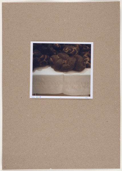 fotografia - Barwna odbitka fotograficzna utrzymana w stonowanych kolorach, która przedstawia fragment większej, horyzontalnej kompozycji niemal równo podzielonej na dwie części. Górną połowę stanowią nieregularne, obłe przeplatające się kształty w różnych odcieniach brązu. Elementy te leżą na podłożu, które wyznacza poziomą oś zdjęcia. Podłoże jest przykryte białą tkaniną, której zwisający brzeg jest widoczny u dołu fotografii, ale nie dochodzi do jej dolnej krawędzi - pozostaje niewielki prześwit sugerujący, że uwidoczniona na zdjęciu kompozycja jest przestrzenna. Tkanina ozdobiona jest u dołu pasem białego haftu z hebrajskimi napisem. Odbitka fotograficzna została wykonana z wąską, białą ramką.