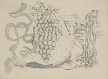 rysunek - Martwa natura, kompozycja z owocem winorośli i roślinami. Centralny element kompozycji to duża kiść winogron, nad nią 2 skrzyżowane liście winorośli. Kiść „wpada” w duży, ozdobny kwiat o rozwiniętych, trójkątnie zakończonych płatkach, o grubej łodydze wyrastającej z ociosanego pnia drzewa z korzeniami. Z lewej strony dekoracyjnie wijąca się wstęga.
