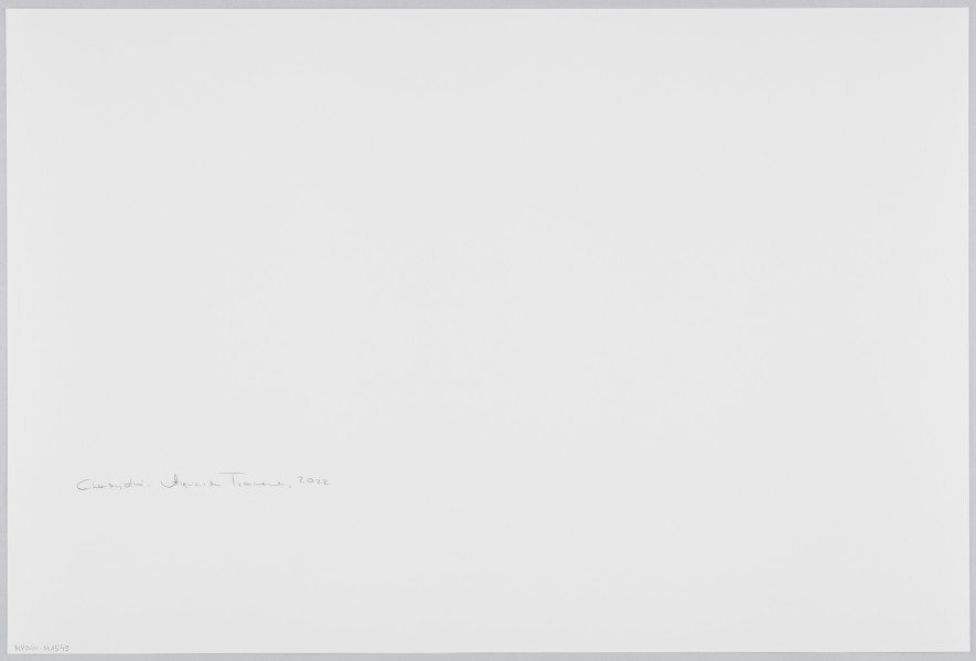 scena rodzajowa - Poziomy, barwny kadr fotograficzny przedstawiający w centralnej części kadru starszą kobietę ubraną w czarny strój i czarne nakrycie głowy. Kobieta stoi przodem do widza i trzyma w geście prezentacji fotograficzny archiwalny portret mężczyzny z brodą w owalnym nakryciu głowy (kipie) oraz marynarce. Fotografia jest oprawiona w passe-partout oraz ramę. Po lewej stronie kadru widoczne jest stojące w narożniku pomieszczenia, zakryte pasiastą narzutą, łóżko, nad nim wiszą 3 rzędy półek wypełnione szczelnie książkami. N pierwszej półce od dołu stoją także buteleczki oraz kubek. Pod półkami wiszą różne drobne przedmioty m.in. koraliki, zegarek. Obok lóżka stoi składany, turystyczny stolik, na nim leżą kartki, książki, stoją naczynia oraz lampka. Nad stolikiem wisi duży, okrągły zegar. Po prawej stronie kadru jest biała ściana, na niej rząd 3 pojedynczych wieszaków, na których wiszą czarne plecami. Za plecami kobiety, w głąb kadru widoczne są otwarte dwuskrzydłowe, przeszklone drzwi, za nimi dalsze pomieszczenie.