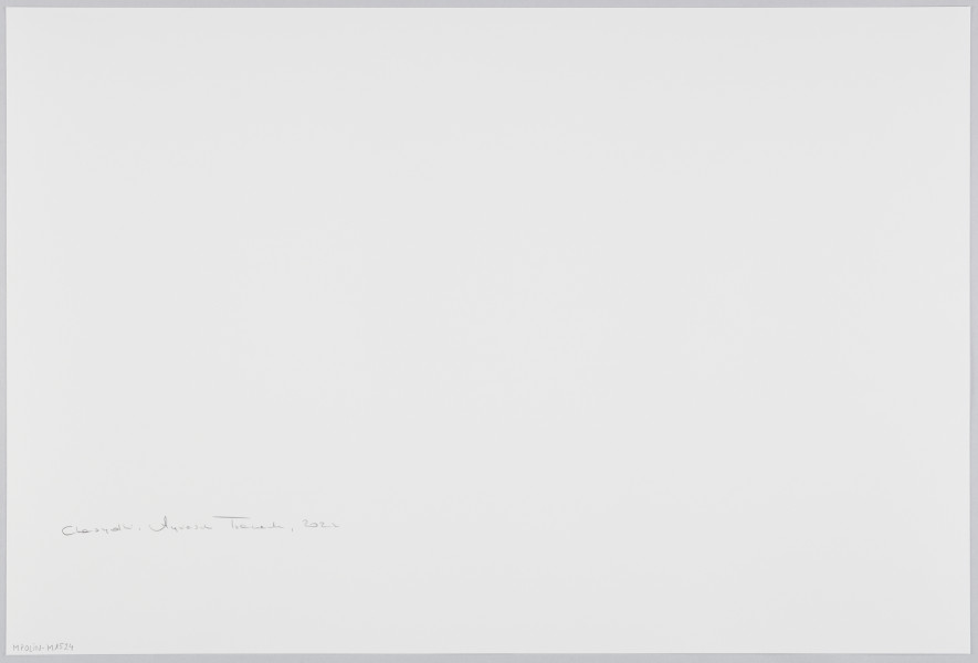 scena rodzajowa - Poziomy, barwny kadr fotograficzny przestawiający na pierwszym, nieostrym planie dwie kobiety, obok postać w czarnej chuście (najpewniej kobieta) trzymająca niemowlę, przed nimi dwie małe dziewczynki zaglądające za zasłonę. Za zasłoną w drugim pomieszczeniu widać fragmentarycznie grupę mężczyzn w odświętnych złotych strojach oraz walcowatych czapkach z futra, stojących wokół stołu. Przez utworzoną szparę widoczne jest, że dwóch z nich trzyma się za ręce.