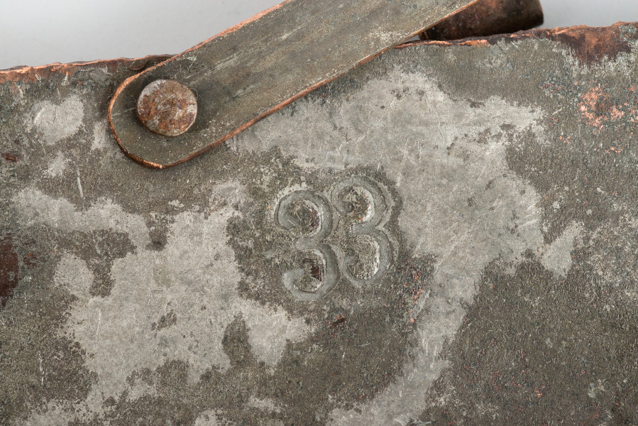 zbliżenie na puncę