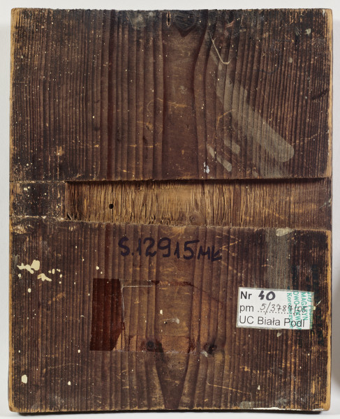 ikona z popiersiowym wizerunkiem Bogurodzicy Hodigitrii i frontalnie ukazanym Dzieciątkiem stojącym po prawej stronie, błogosławiącym prawicą, obrzeże obwiedzione gładką bordiurą; inskrypcje cyrylickie opisujące postacie