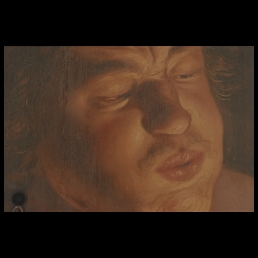 Dokumentacja RTI umożliwiająca użytkownikowi zmianę oświetlenia.